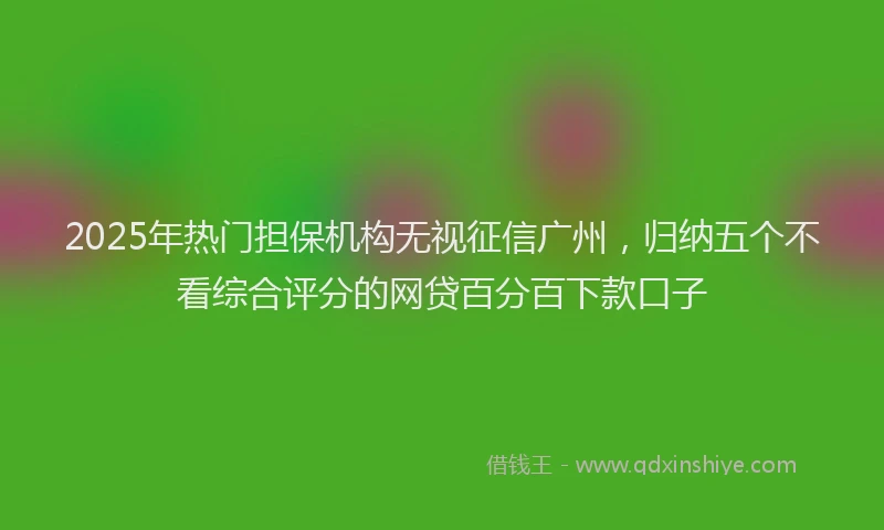 2025年热门担保机构无视征信广州，归纳五个不看综合评分的网贷百分百下款口子