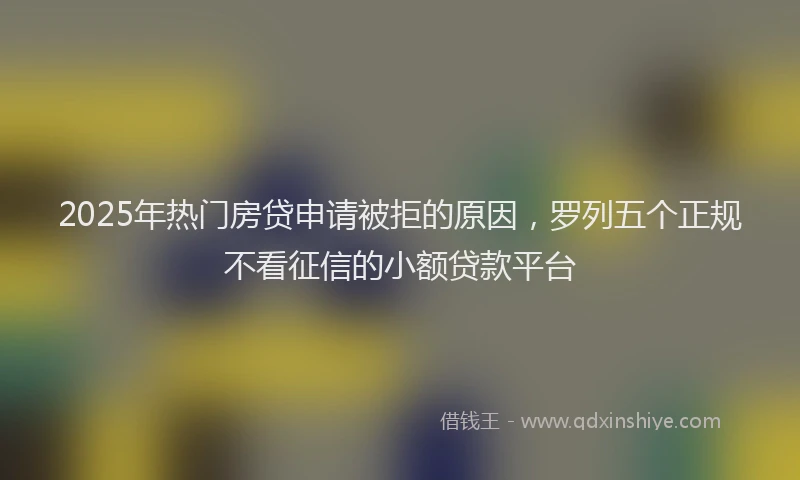2025年热门房贷申请被拒的原因，罗列五个正规不看征信的小额贷款平台