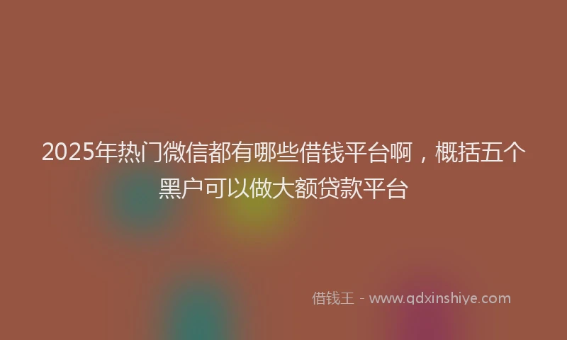 2025年热门微信都有哪些借钱平台啊，概括五个黑户可以做大额贷款平台