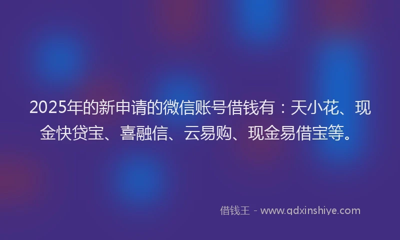 2025年的新申请的微信账号借钱有：天小花、现金快贷宝、喜融信、云易购、现金易借宝等。
