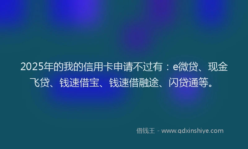 2025年的我的信用卡申请不过有：e微贷、现金飞贷、钱速借宝、钱速借融途、闪贷通等。