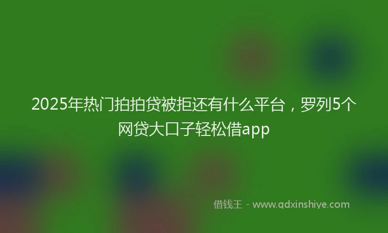 2025年热门拍拍贷被拒还有什么平台，罗列5个网贷大口子轻松借app