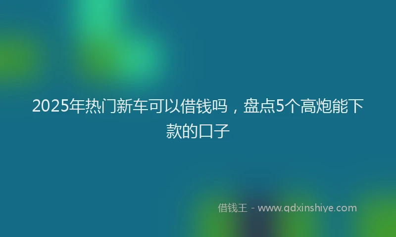 2025年热门新车可以借钱吗，盘点5个高炮能下款的口子