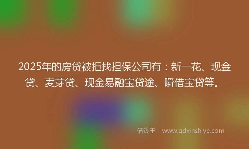 2025年的房贷被拒找担保公司有：新一花、现金贷、麦芽贷、现金易融宝贷途、瞬借宝贷等。