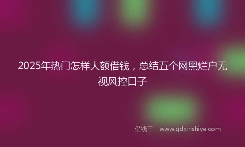 2025年热门怎样大额借钱，总结五个网黑烂户无视风控口子