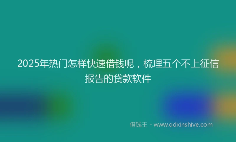 2025年热门怎样快速借钱呢，梳理五个不上征信报告的贷款软件