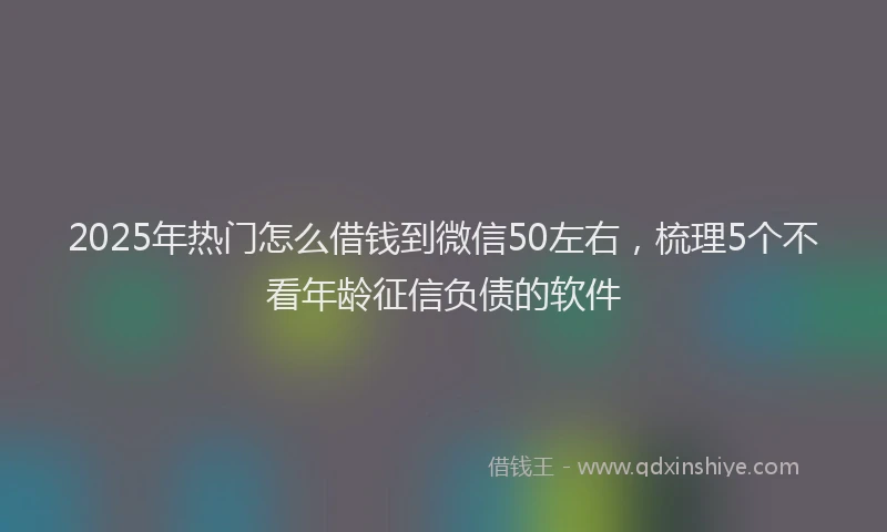 2025年热门怎么借钱到微信50左右，梳理5个不看年龄征信负债的软件