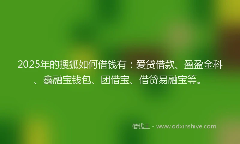 2025年的搜狐如何借钱有：爱贷借款、盈盈金科、鑫融宝钱包、团借宝、借贷易融宝等。