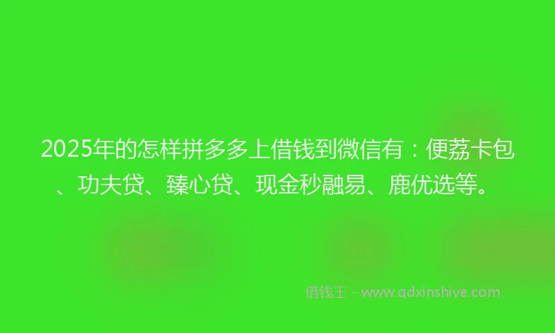 2025年的怎样拼多多上借钱到微信有：便荔卡包、功夫贷、臻心贷、现金秒融易、鹿优选等。