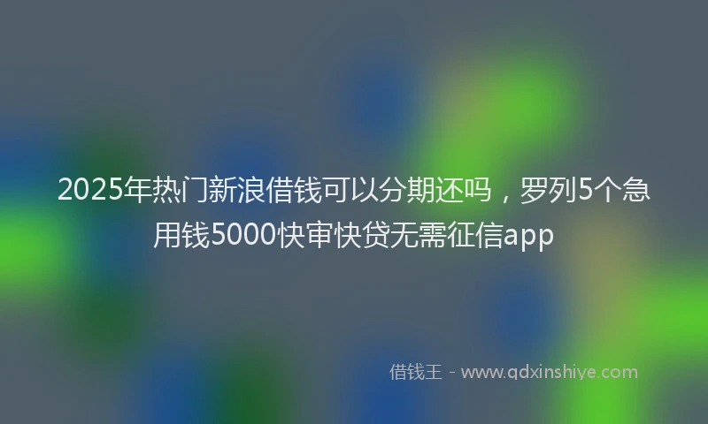 2025年热门新浪借钱可以分期还吗，罗列5个急用钱5000快审快贷无需征信app