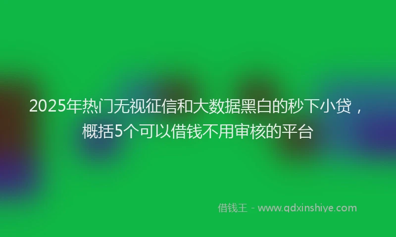 2025年热门无视征信和大数据黑白的秒下小贷，概括5个可以借钱不用审核的平台