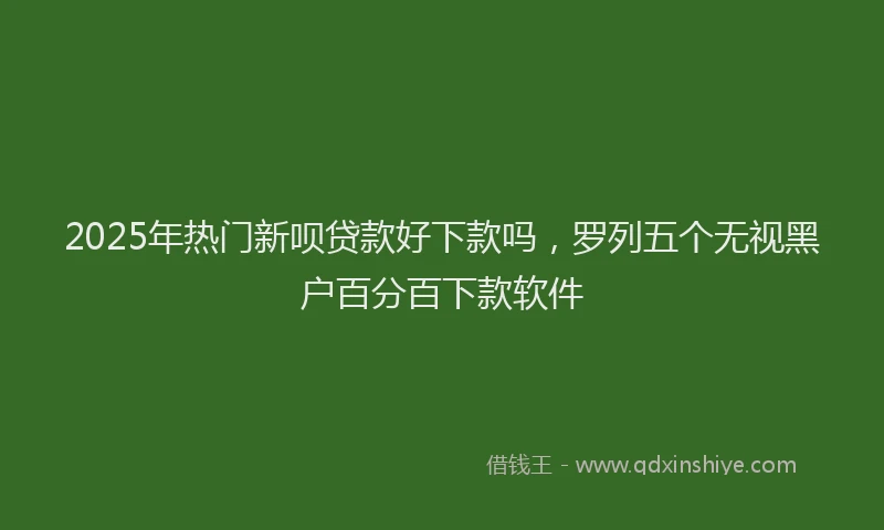 2025年热门新呗贷款好下款吗，罗列五个无视黑户百分百下款软件
