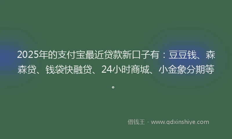 2025年的支付宝最近贷款新口子有：豆豆钱、森森贷、钱袋快融贷、24小时商城、小金象分期等。