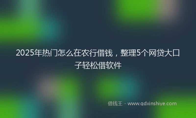 2025年热门怎么在农行借钱，整理5个网贷大口子轻松借软件