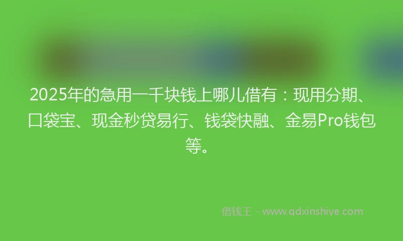 2025年的急用一千块钱上哪儿借有：现用分期、口袋宝、现金秒贷易行、钱袋快融、金易Pro钱包等。