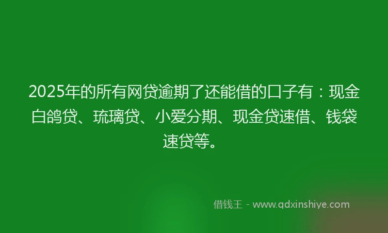 2025年的所有网贷逾期了还能借的口子有：现金白鸽贷、琉璃贷、小爱分期、现金贷速借、钱袋速贷等。