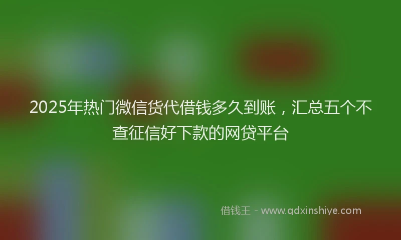 2025年热门微信货代借钱多久到账，汇总五个不查征信好下款的网贷平台
