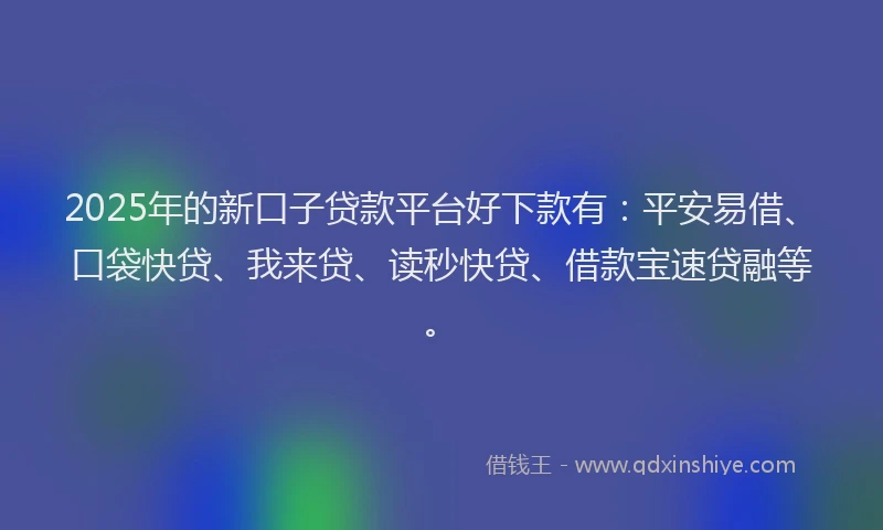 2025年的新口子贷款平台好下款有：平安易借、口袋快贷、我来贷、读秒快贷、借款宝速贷融等。