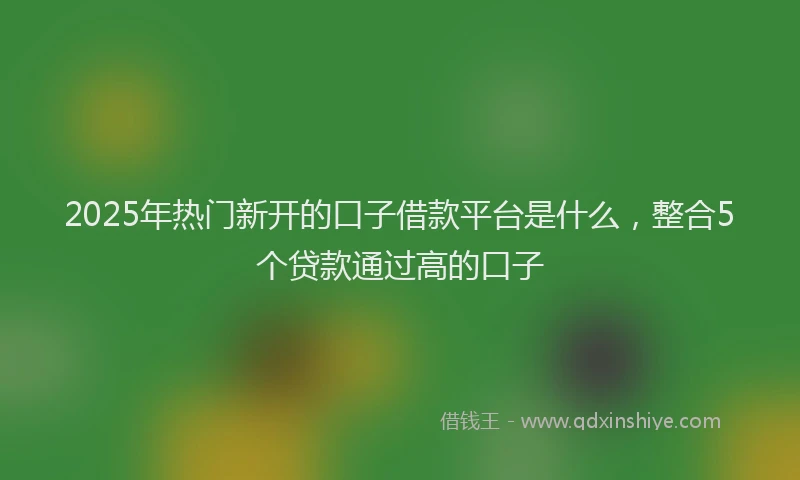 2025年热门新开的口子借款平台是什么，整合5个贷款通过高的口子