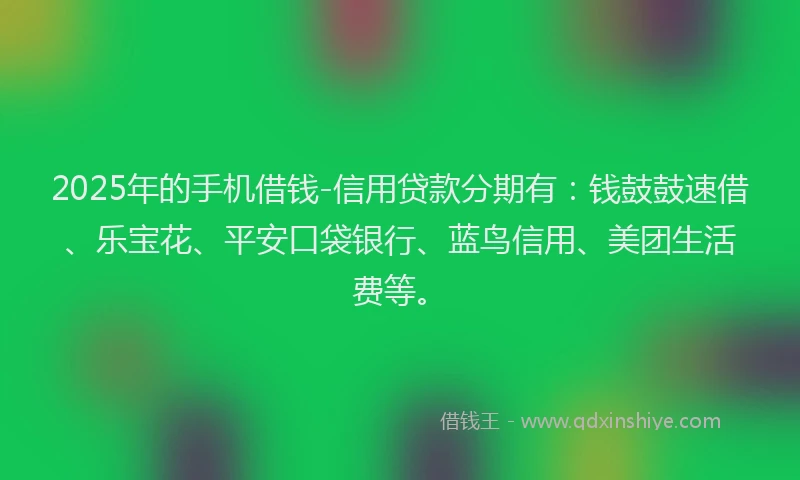 2025年的手机借钱-信用贷款分期有：钱鼓鼓速借、乐宝花、平安口袋银行、蓝鸟信用、美团生活费等。
