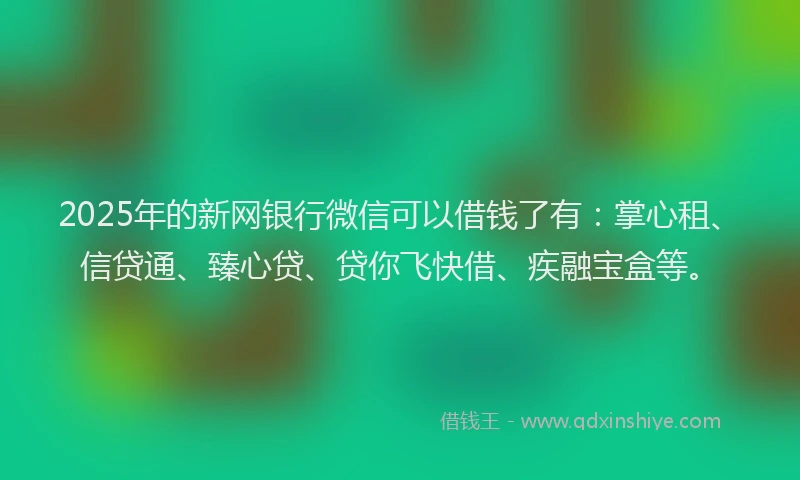 2025年的新网银行微信可以借钱了有：掌心租、信贷通、臻心贷、贷你飞快借、疾融宝盒等。