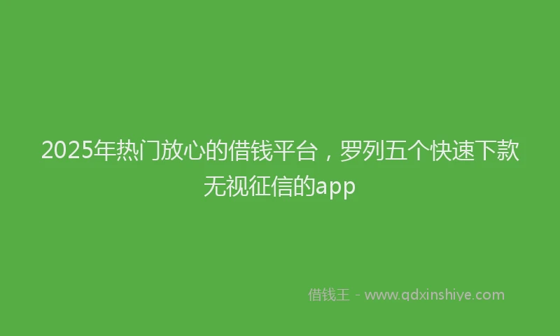 2025年热门放心的借钱平台，罗列五个快速下款无视征信的app