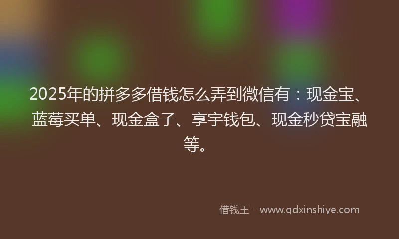 2025年的拼多多借钱怎么弄到微信有：现金宝、蓝莓买单、现金盒子、享宇钱包、现金秒贷宝融等。