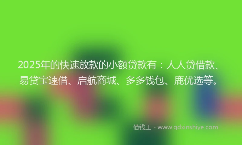 2025年的快速放款的小额贷款有：人人贷借款、易贷宝速借、启航商城、多多钱包、鹿优选等。