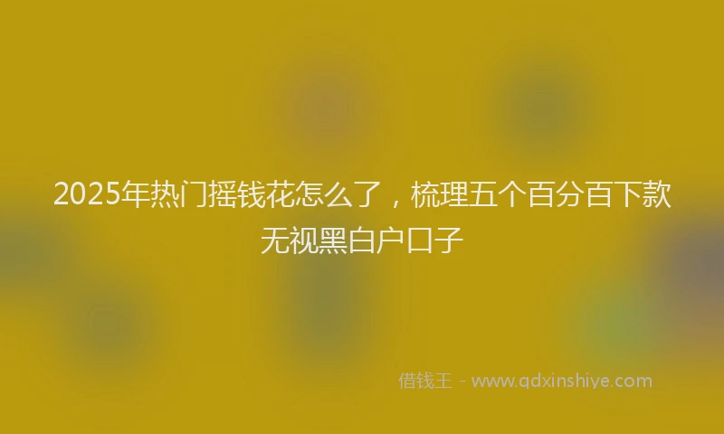 2025年热门摇钱花怎么了，梳理五个百分百下款无视黑白户口子