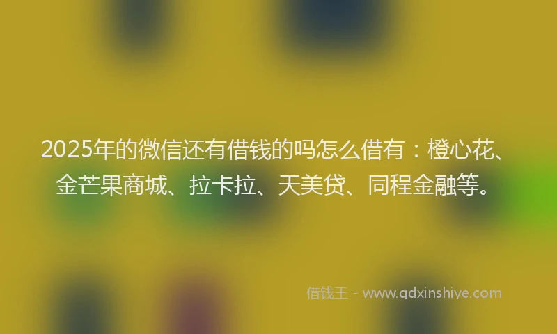 2025年的微信还有借钱的吗怎么借有：橙心花、金芒果商城、拉卡拉、天美贷、同程金融等。