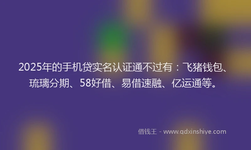 2025年的手机贷实名认证通不过有：飞猪钱包、琉璃分期、58好借、易借速融、亿运通等。