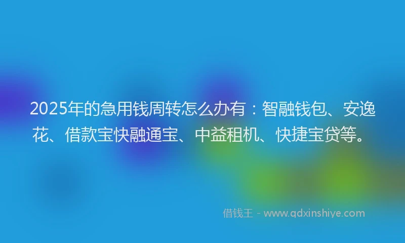 2025年的急用钱周转怎么办有：智融钱包、安逸花、借款宝快融通宝、中益租机、快捷宝贷等。