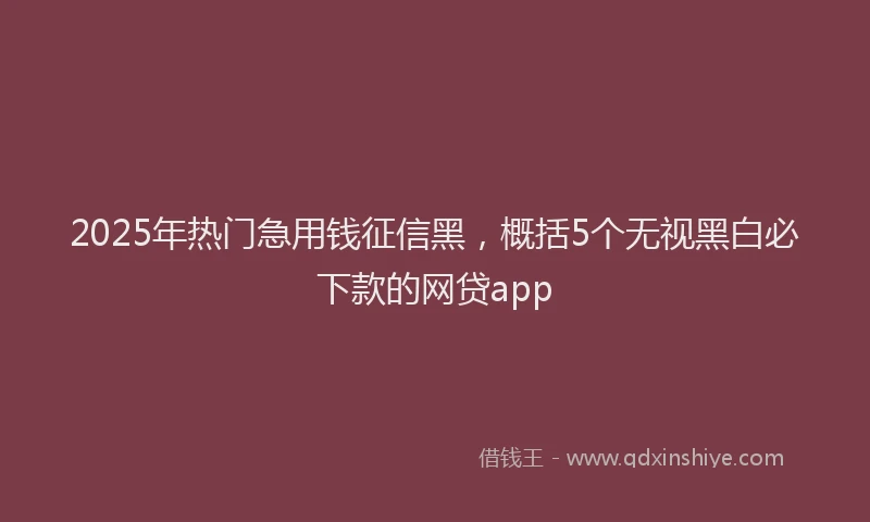 2025年热门急用钱征信黑，概括5个无视黑白必下款的网贷app
