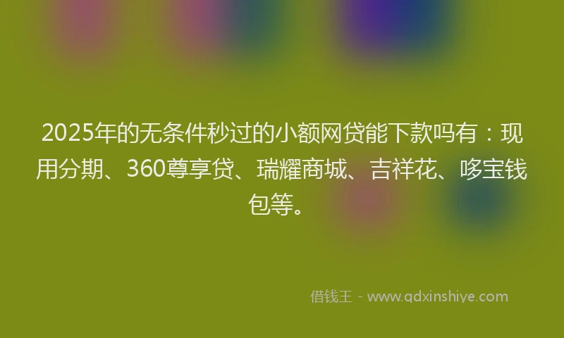 2025年的无条件秒过的小额网贷能下款吗有：现用分期、360尊享贷、瑞耀商城、吉祥花、哆宝钱包等。