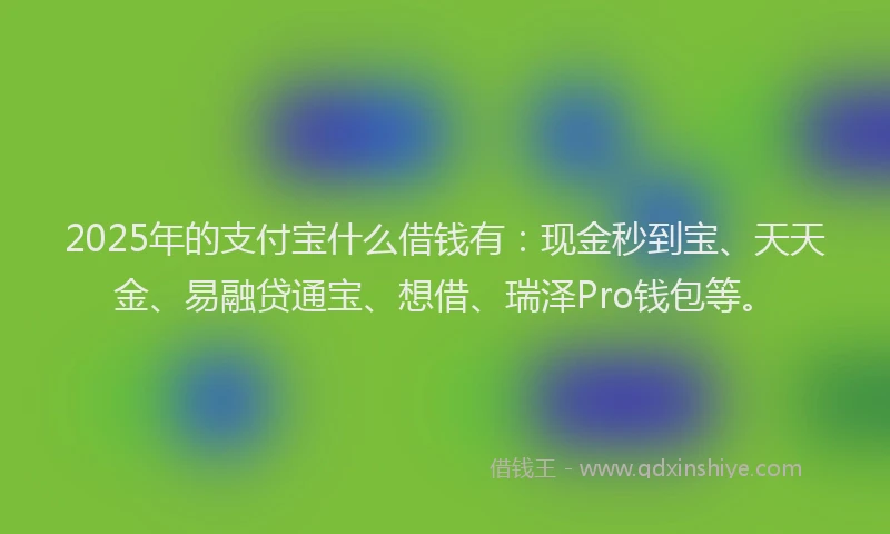 2025年的支付宝什么借钱有：现金秒到宝、天天金、易融贷通宝、想借、瑞泽Pro钱包等。
