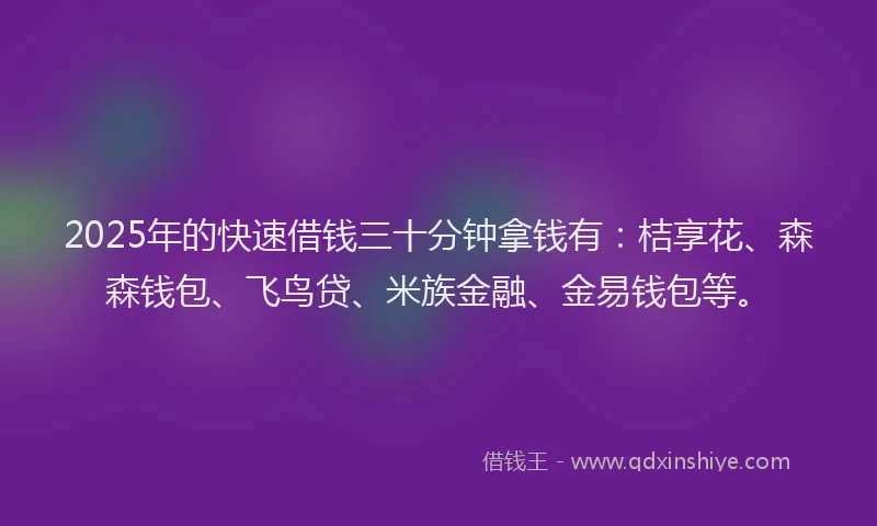 2025年的快速借钱三十分钟拿钱有：桔享花、森森钱包、飞鸟贷、米族金融、金易钱包等。