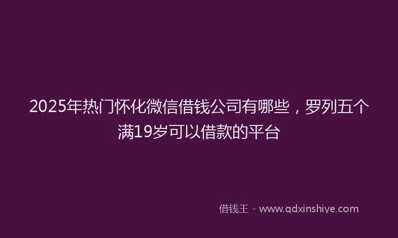 2025年热门怀化微信借钱公司有哪些，罗列五个满19岁可以借款的平台