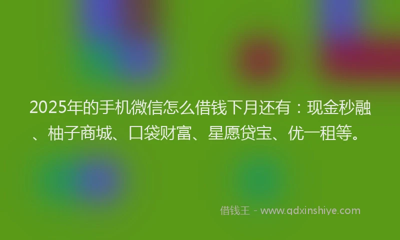 2025年的手机微信怎么借钱下月还有：现金秒融、柚子商城、口袋财富、星愿贷宝、优一租等。