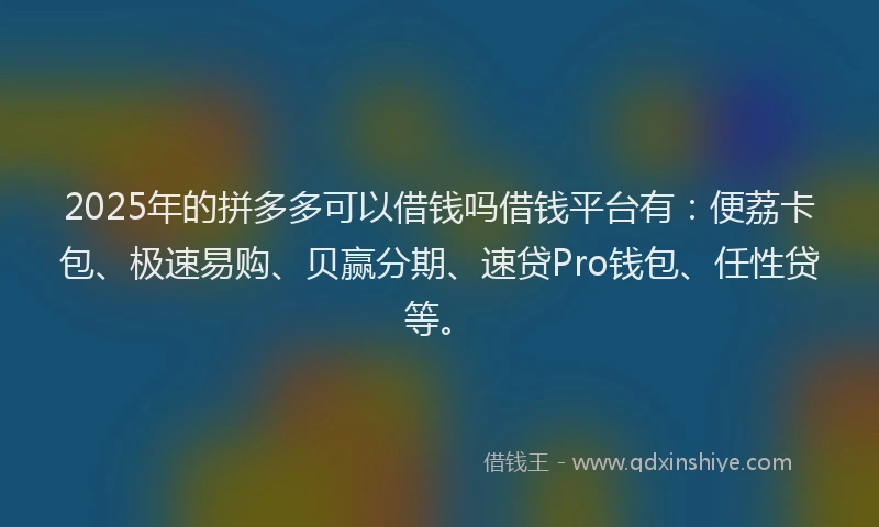 2025年的拼多多可以借钱吗借钱平台有：便荔卡包、极速易购、贝赢分期、速贷Pro钱包、任性贷等。