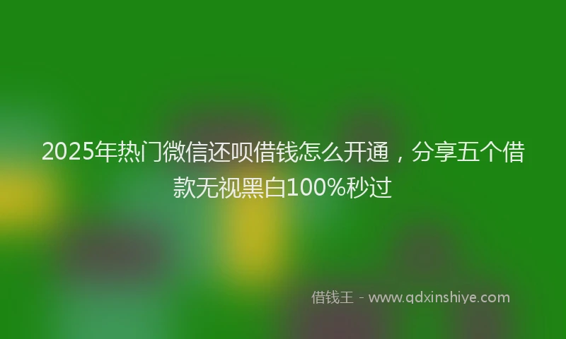 2025年热门微信还呗借钱怎么开通，分享五个借款无视黑白100%秒过