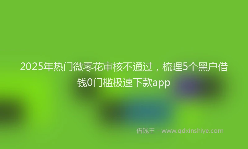 2025年热门微零花审核不通过，梳理5个黑户借钱0门槛极速下款app