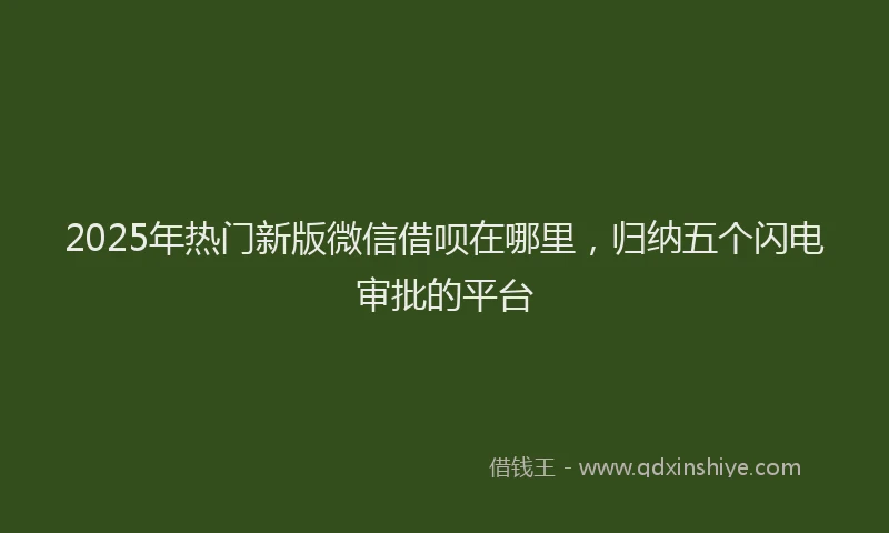 2025年热门新版微信借呗在哪里，归纳五个闪电审批的平台