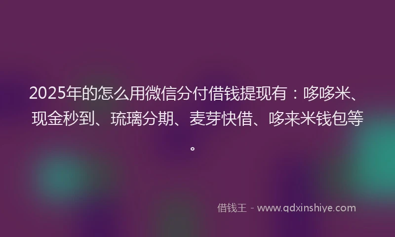 2025年的怎么用微信分付借钱提现有：哆哆米、现金秒到、琉璃分期、麦芽快借、哆来米钱包等。