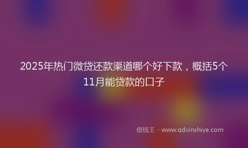 2025年热门微贷还款渠道哪个好下款，概括5个11月能贷款的口子