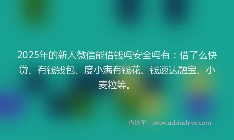 2025年的新人微信能借钱吗安全吗有：借了么快贷、有钱钱包、度小满有钱花、钱速达融宝、小麦粒等。
