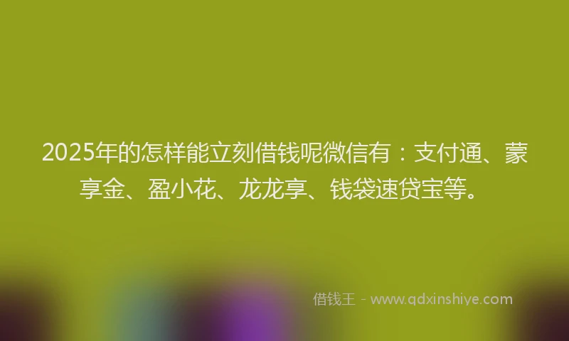 2025年的怎样能立刻借钱呢微信有：支付通、蒙享金、盈小花、龙龙享、钱袋速贷宝等。