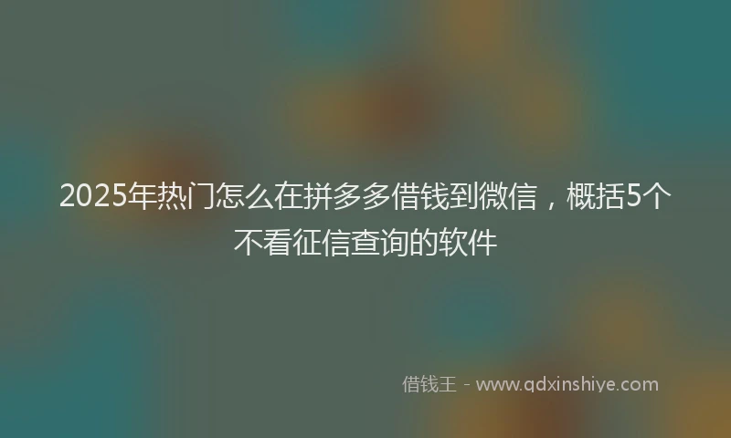 2025年热门怎么在拼多多借钱到微信，概括5个不看征信查询的软件