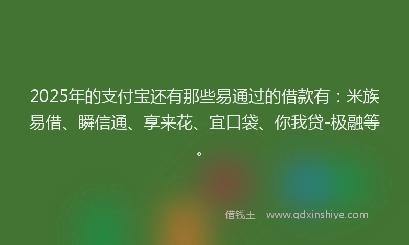 2025年的支付宝还有那些易通过的借款有：米族易借、瞬信通、享来花、宜口袋、你我贷-极融等。