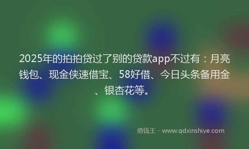 2025年的拍拍贷过了别的贷款app不过有：月亮钱包、现金侠速借宝、58好借、今日头条备用金、银杏花等。