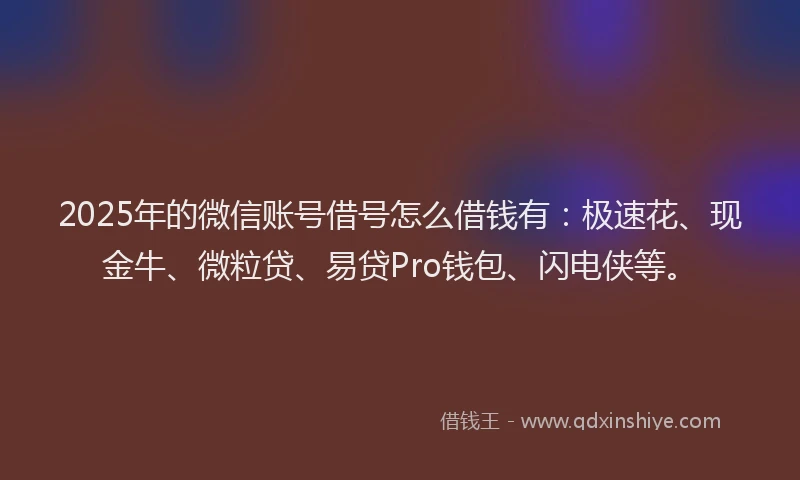 2025年的微信账号借号怎么借钱有：极速花、现金牛、微粒贷、易贷Pro钱包、闪电侠等。